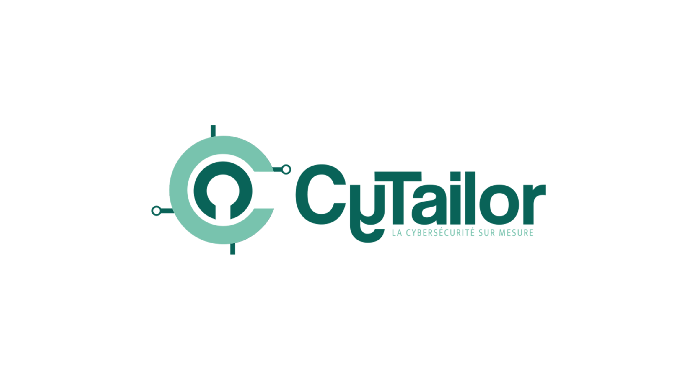 Cytailor image